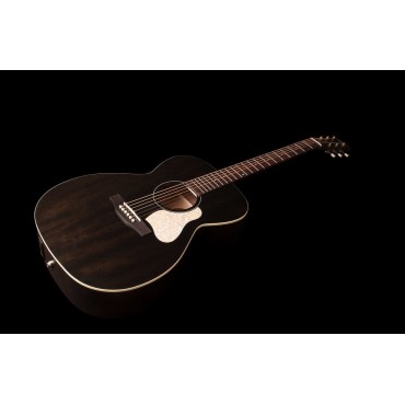 Art et Lutherie Legacy Faded Black QIT