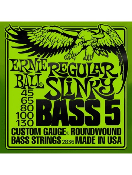 Ernie Ball Slinky basse 5 cordes 2836 regular
