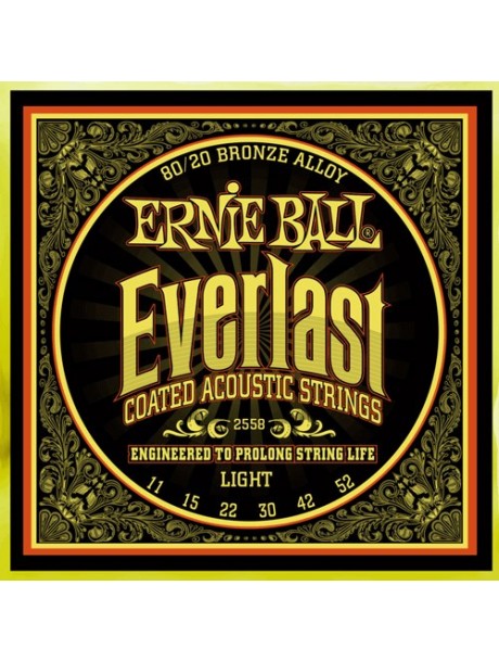 Ernie Ball Everlast 2558 light