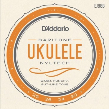 D’Addario Ukulélé baritone EJ88B