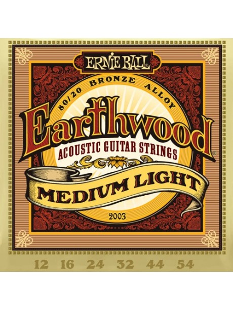 Ernie Ball Earthwood bronze 2003 medium light