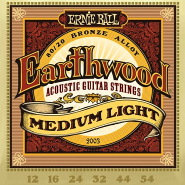 Ernie Ball Earthwood bronze 2003 medium light