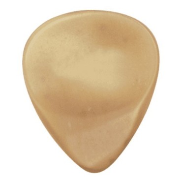 Dugain médiator en corne