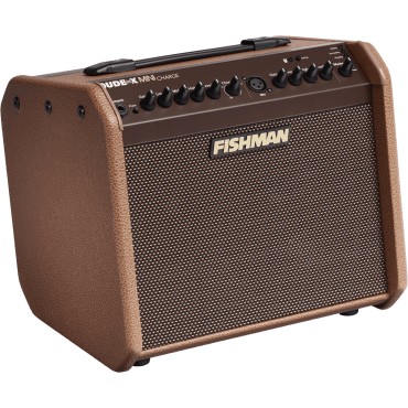 Ampli acoustique Fishman 60W sur batterie