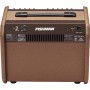 Ampli acoustique Fishman 60W sur batterie