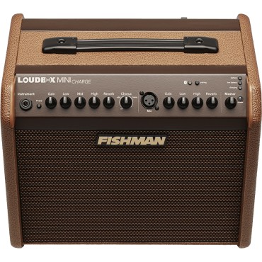 Ampli acoustique Fishman 60W sur batterie
