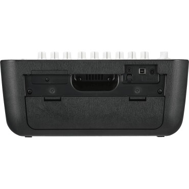 Ampli basse Vox ADIO Air Basse