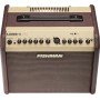 Ampli acoustique Fishman Loudbox Mini Bluetooth