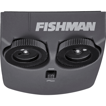 Micro pour instrument acoustique Fishman Format large