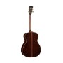 Guitare Cort ABSTRACT DELTA Naturel