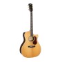 Guitare Cort Gold A8 Naturel Brillant