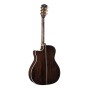 Guitare Cort Gold A8 Naturel Brillant