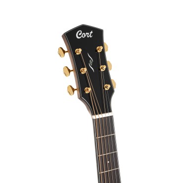 Guitare Cort Gold DC6 Naturel Brillant