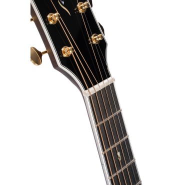 Guitare Cort Gold-OC8 Naturel Brillant