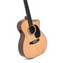 Guitare Sigma SERIE 1 000MC-1E