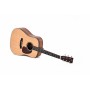 Guitare Sigma SERIE CROSSROAD SDP-10E