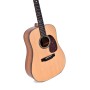 Guitare Sigma SERIE CROSSROAD SDP-10E
