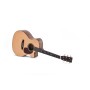 Guitare Sigma SERIE CROSSROAD SGPC-10E