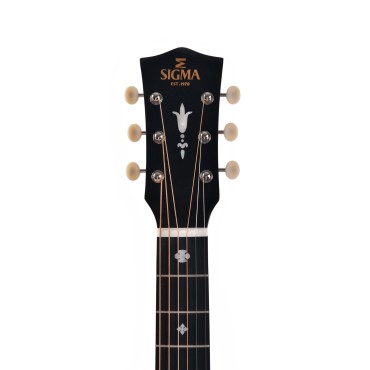 Guitare Sigma EDITION SPECIALE SJM-SG45-AN ETUI