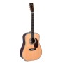 Guitare Sigma SERIE STANDARD DT-42 ETUI SSC-D