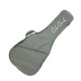 Guitare Cole Clark AN1E Soft Case
