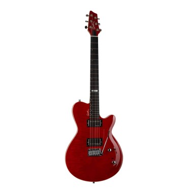Guitare Godin DS-1 Daryl Stuermer Signature