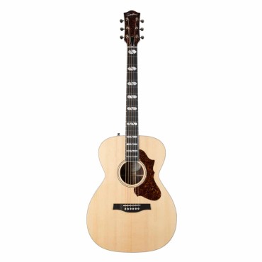 Guitare Godin Fairmount CH Ltd Rosewood CN HG avec housse