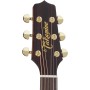 Takamine P5DC Dreadnought
