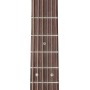 Takamine P5DC Dreadnought