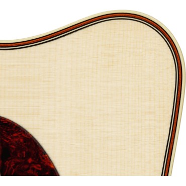 Takamine P5DC Dreadnought