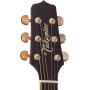 Takamine P4DC Dreadnought