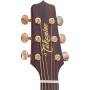 Takamine P3DC Dreadnought