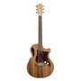 Guitare Cole Clark TL2EC-BLBL-HH
