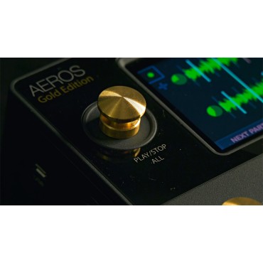 Looper Singular Sound Aeros Gold