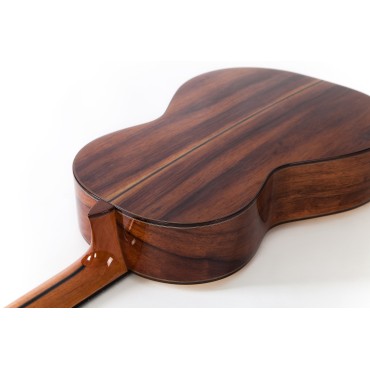 ALTAMIRA L'orpheo 7/8