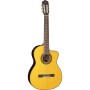 Guitare Takamine GC5CE-NAT natural
