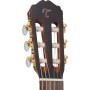 Guitare Takamine GC5CE-NAT natural