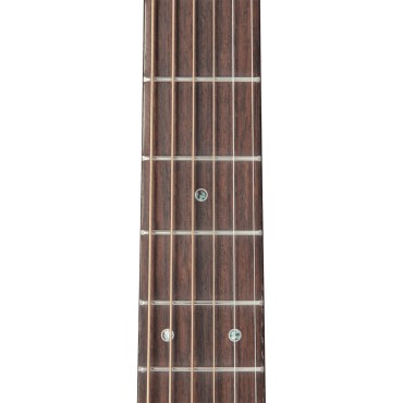 Takamine P5NC NEX