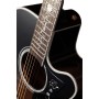 Takamine EF450C-TT-BB NEX