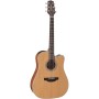 Takamine GD20CE-NS Dreadnought