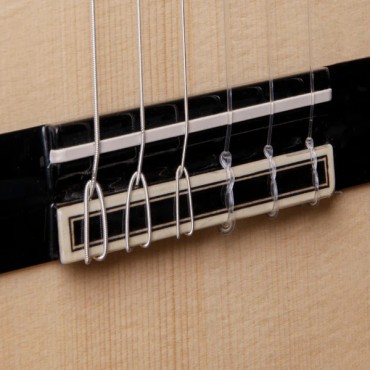 Alhambra GREEN SUSTAIN CTW E8