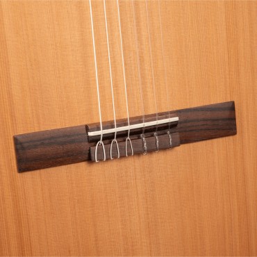 Alhambra Z-Nature-CW-EZ