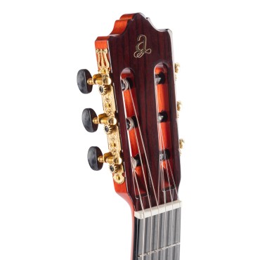 Admira Alegria électro Fishman Pan coupé