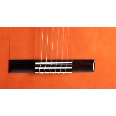 Admira Alegria électro Fishman Pan coupé