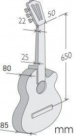 Dimensions de l'Iberia Ziricote CTW-E8